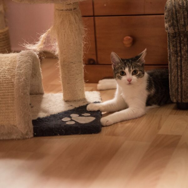 gallery-item