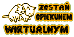 Zostań opiekunem wirtualnym