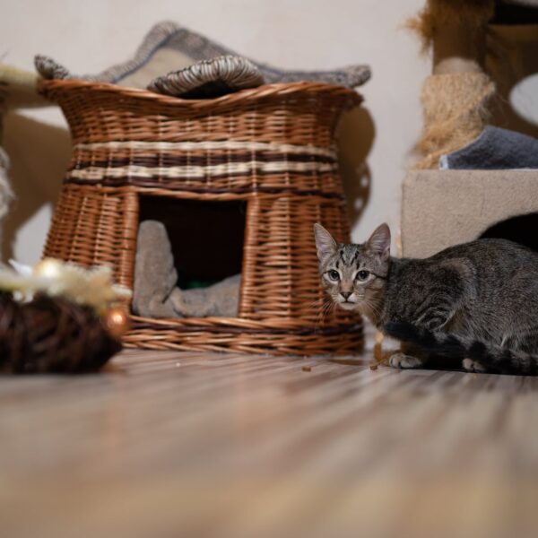 gallery-item