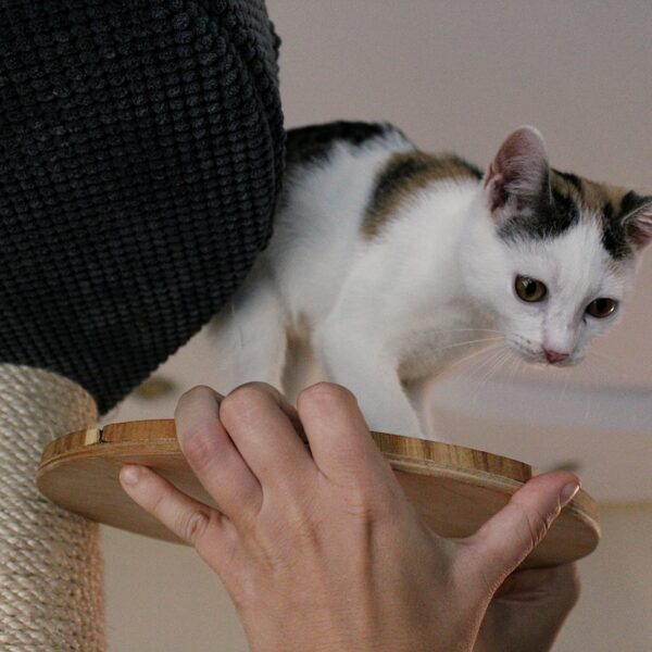 gallery-item