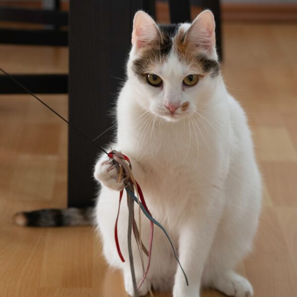 gallery-item