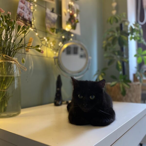 gallery-item