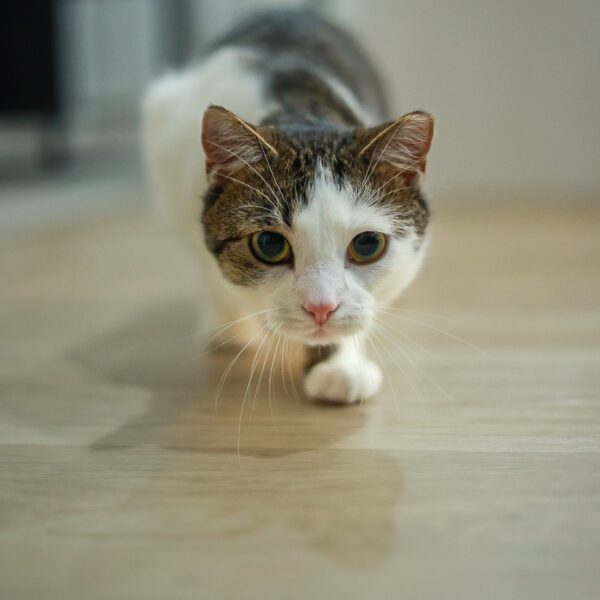 gallery-item