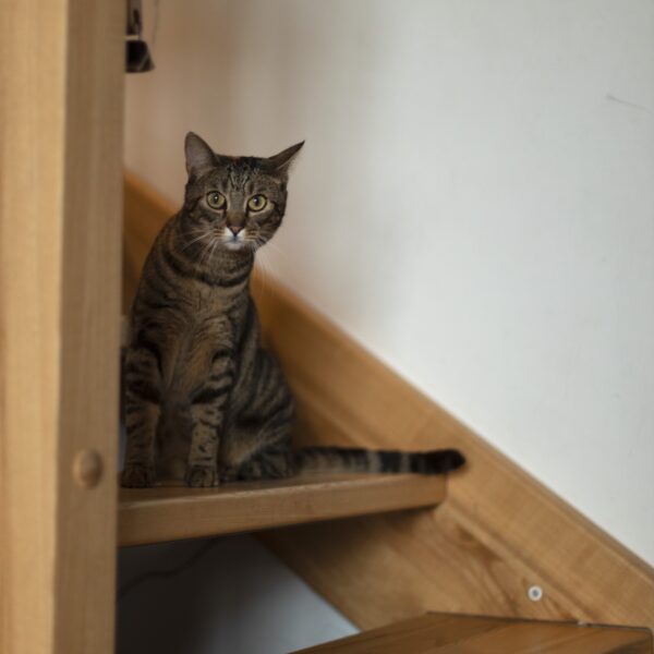 gallery-item
